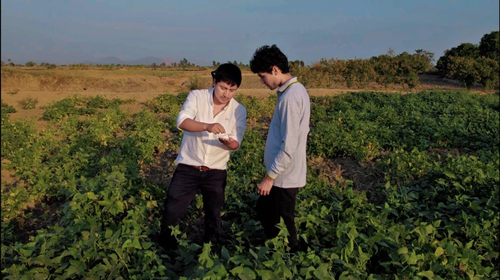 Equipo de Business Beans en el campo