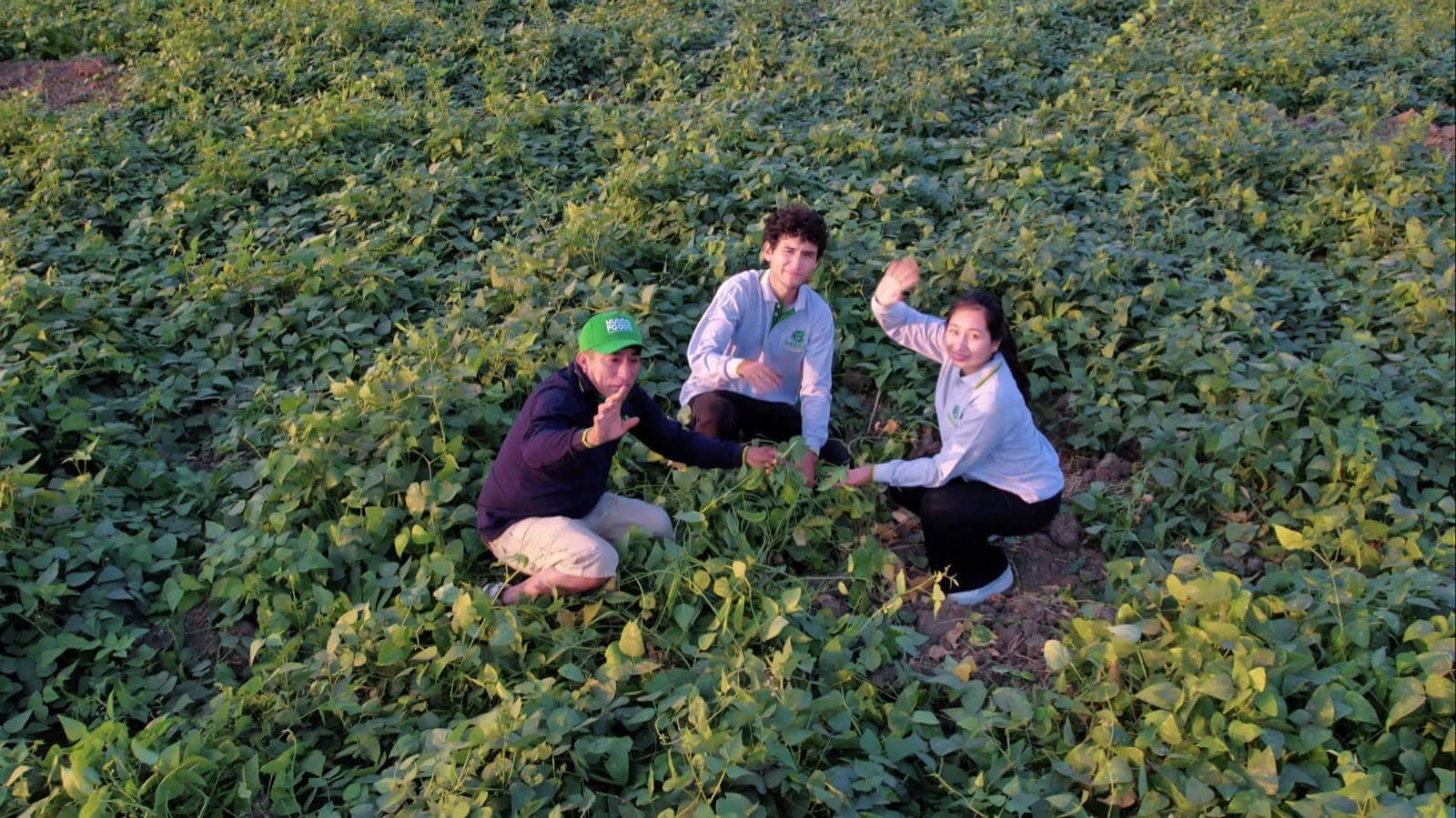 Equipo de Business Beans en el campo